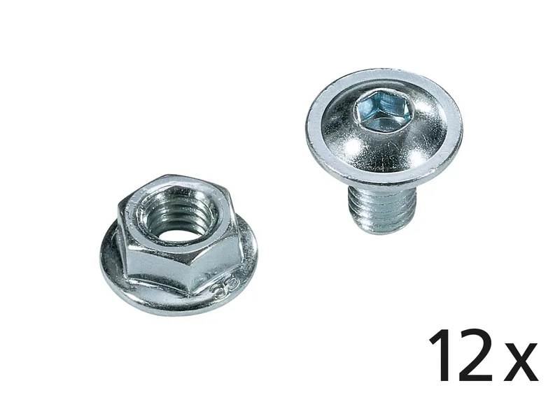 Set: 12 Linsenflanschkopfschrauben M6 x 12 vzk + 12 Sperrzahnbundmuttern